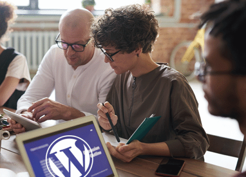 Best Weebly to WordPress migration service